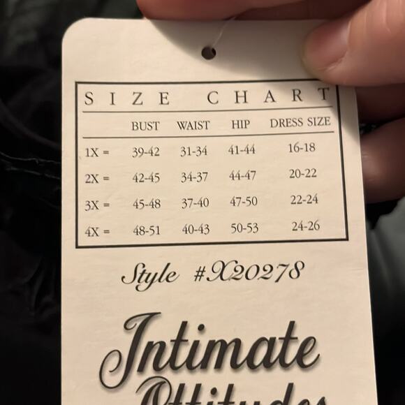 NWT Black Mesh Teddy with Matching Thong - Picture 7 of 7